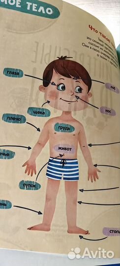 Энциклопедия в картинках