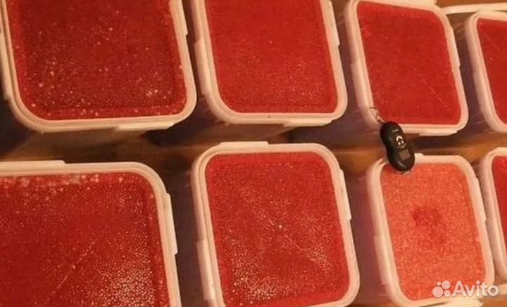 Красная икра (с/с, форелевая)