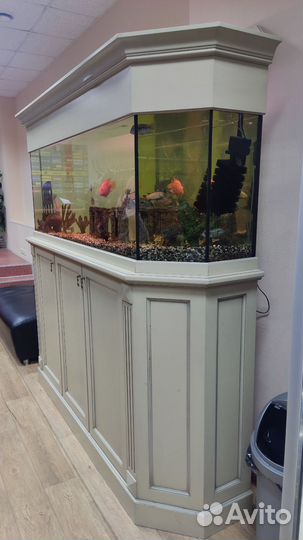 Аквариум с тумбой 500 литров