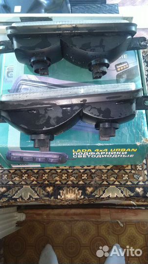 Надфарники нива