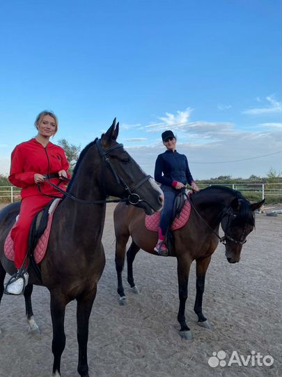 Конные прогулки