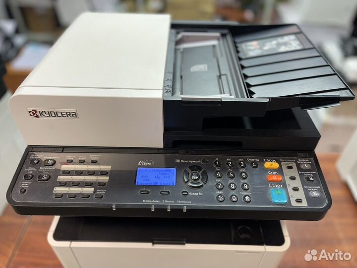 Мфу лазерный Kyocera ecosys M2040dn (67241)