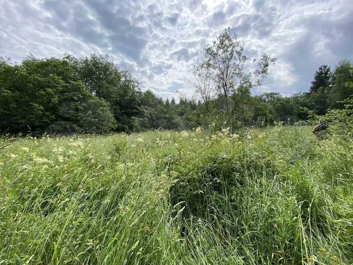 Участок 8 га (СНТ, ДНП)