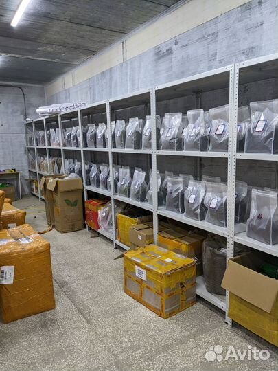 Азиатский чай оптом - качественно