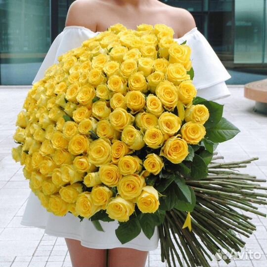 Розы (60 см) желтые Эквадор 23 шт