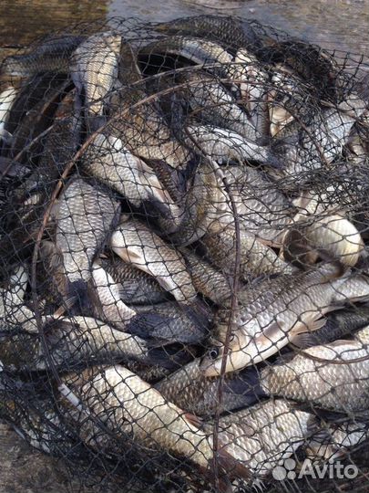 Рыбалка в лиманах