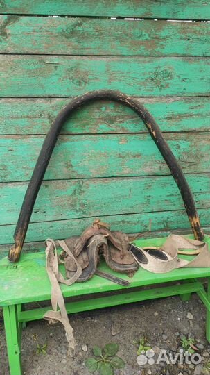 Дуга и седелка горбатая