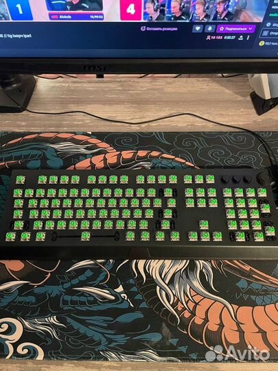 Razer blackwidow v3 pro Green