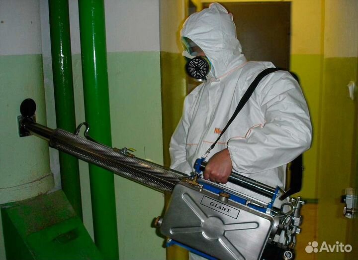 Уничтожим клопов тараканов клещей плесень запахи