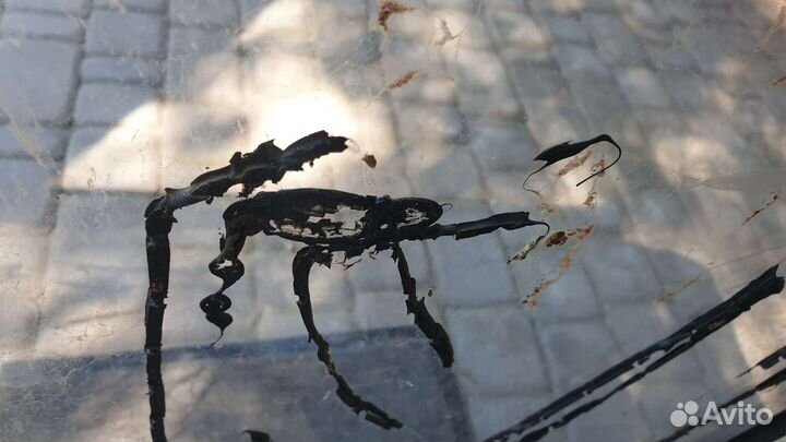 Аквариум на 300 литров