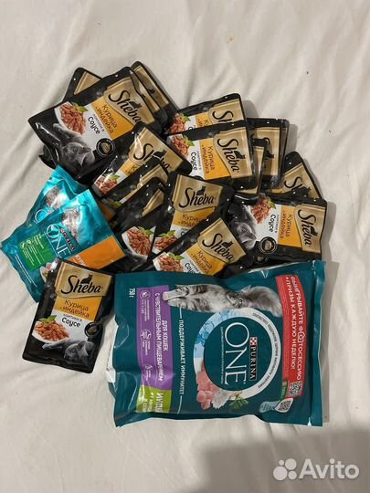 Кошачий корм сухой влажный