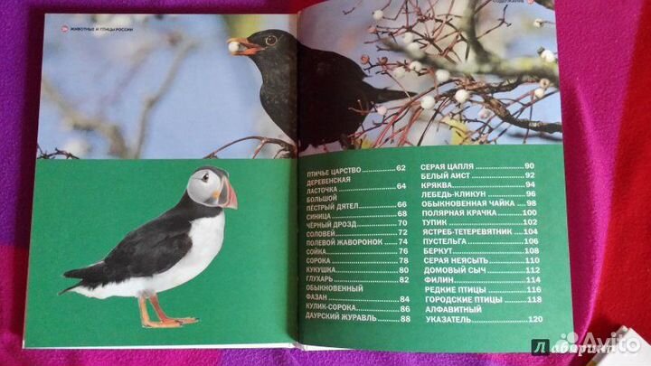 Большая детская энциклопедия 