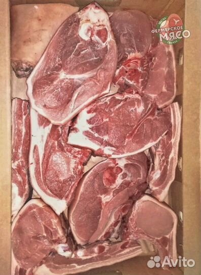 Мясо свинина