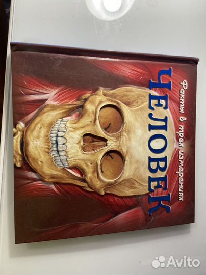 Книги по анатомии