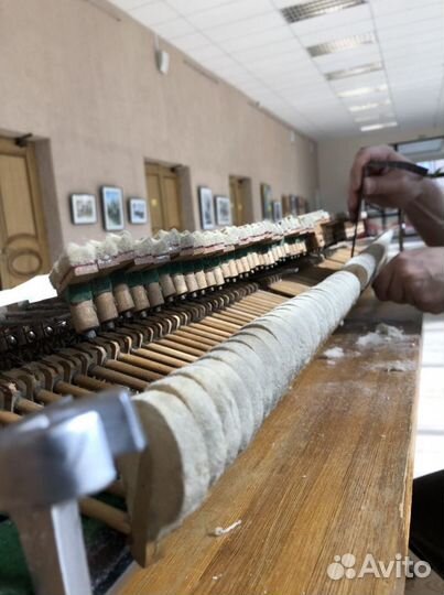 Фортепианный мастер (Списать пианино)