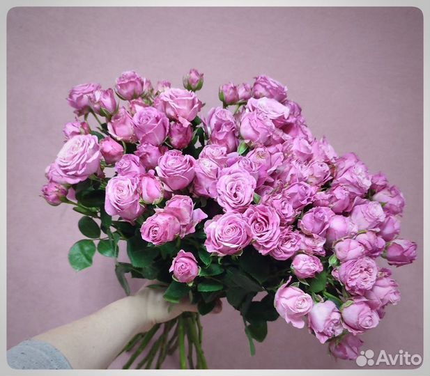 Пионовидные розы Бомбастик. Доставка бесплатно