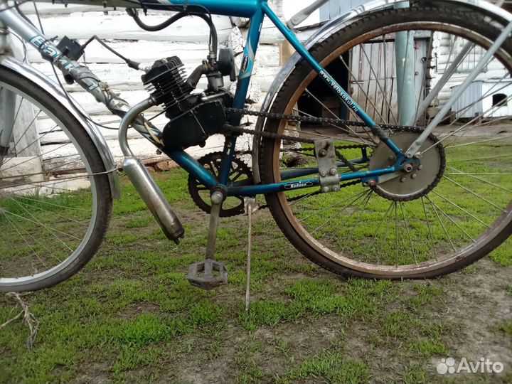 Мотовелик Байкал