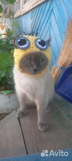 Шапка-миньон для котика