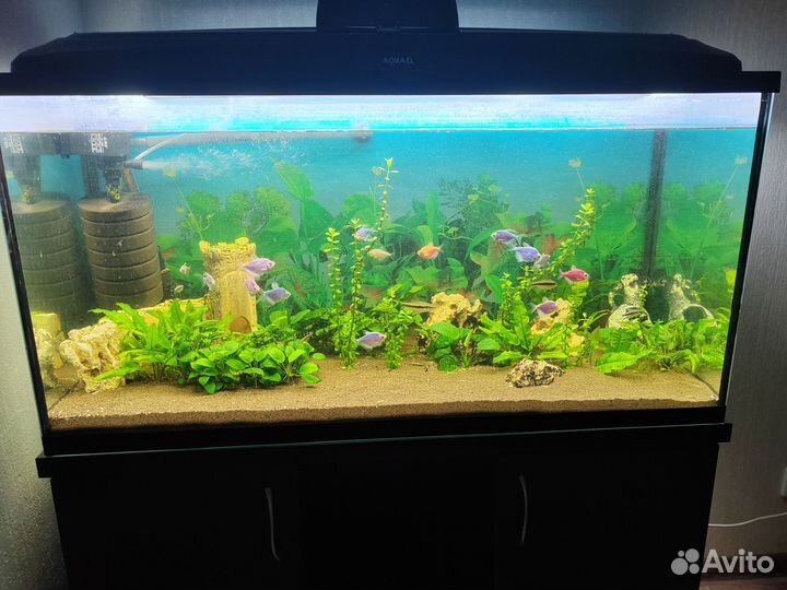 Аквариум с тумбой 200 литров