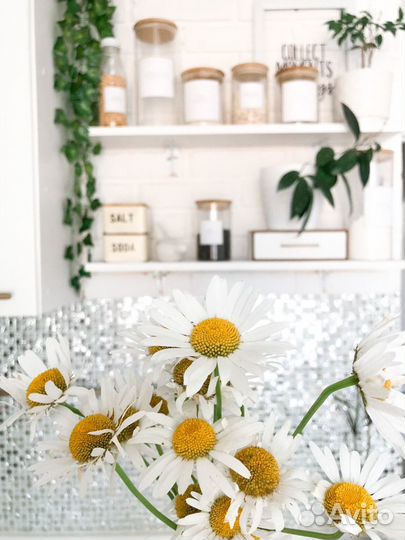 Наклейки на банки для сыпучих продуктов