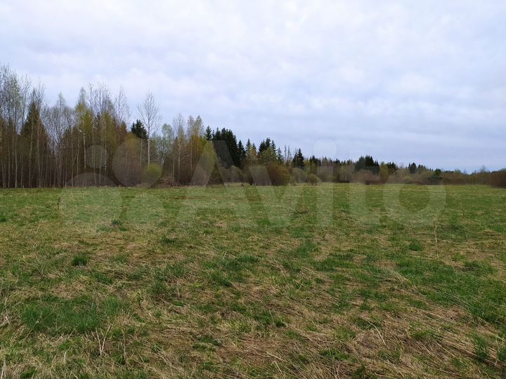 Участок 30 сот. (ИЖС)