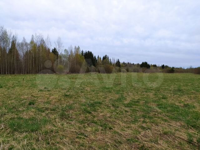 Участок 30 сот. (ИЖС)