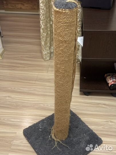 Когтеточка для кошек бу