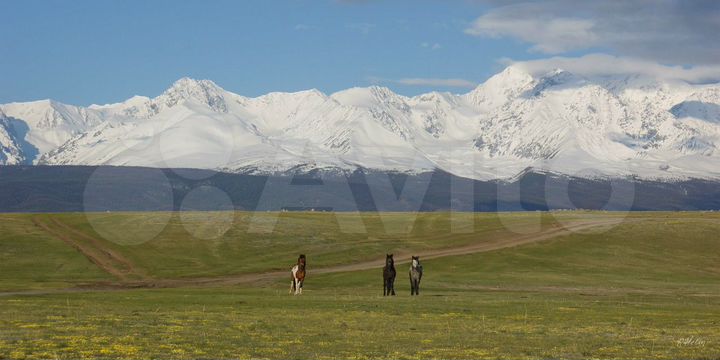 Участок 144 га (СНТ, ДНП)