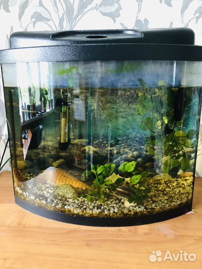 Аквариум с рыбками бу