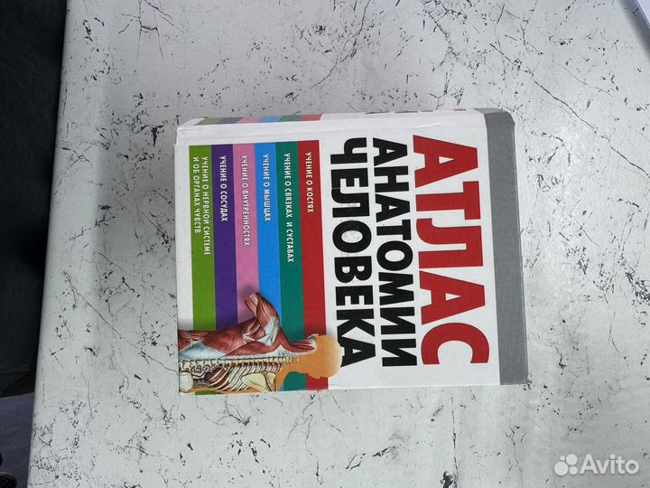 Атлас человека