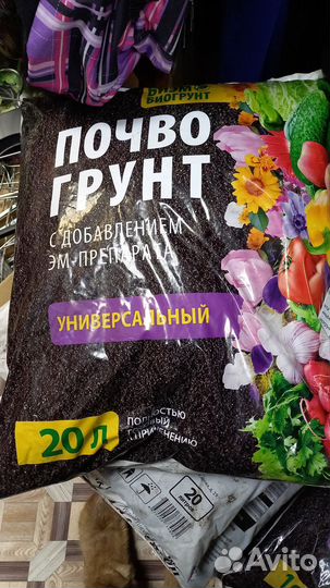 Грунт для рассады