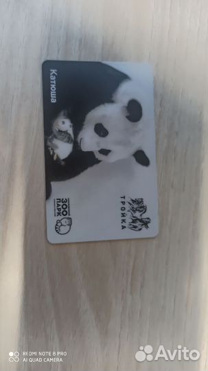 Коллекционная карта Тройка Панда Катюша