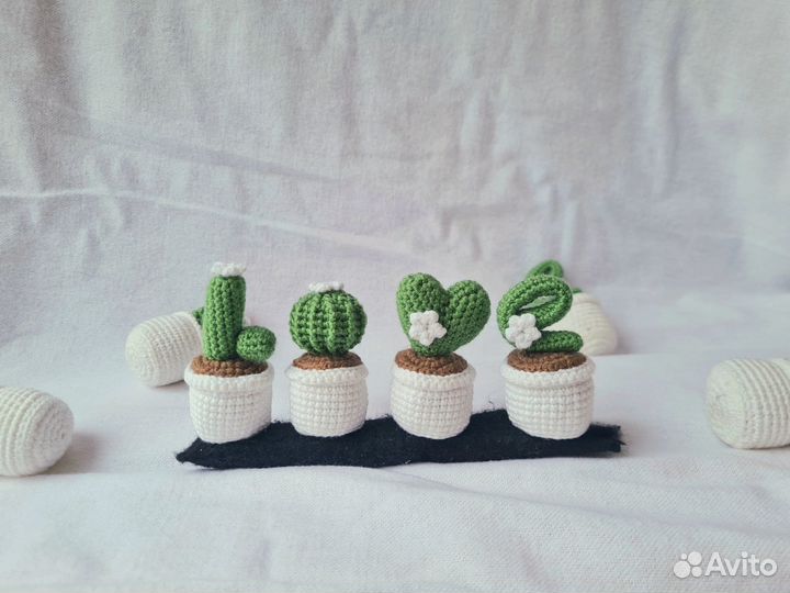 Кактусы на магнитной подставке