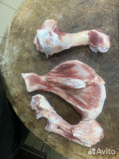 Мясо и кости для собак