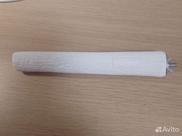 Домашние животные птицы