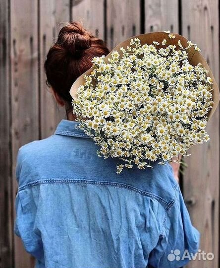 Ромашки Букет из ромашек доставка