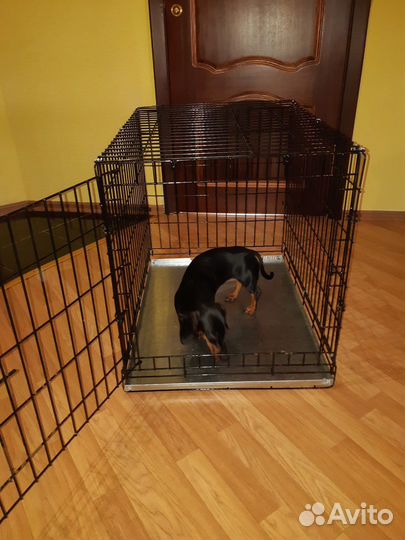 Вольер для собак