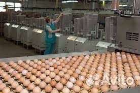 Упаковщик вахта Проживание Питание