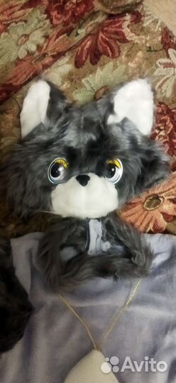 Костюм котика