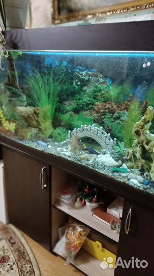 Аквариум на 390 литров