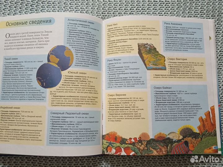 Занимательная книга знаний