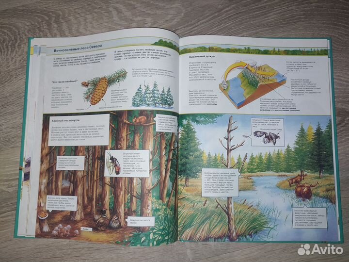 Детская энциклопедия 