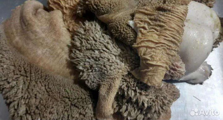 Кормление собак субпродуктами