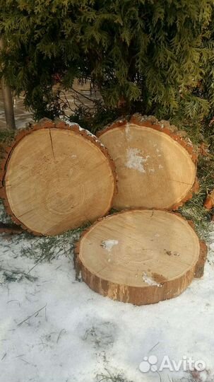 Дрова дубовые