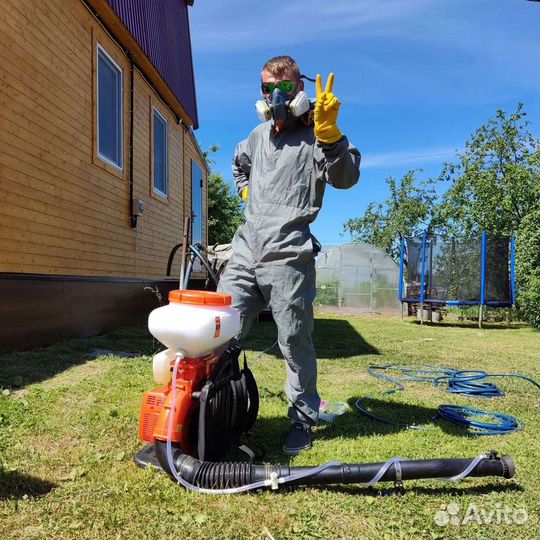 Дезинсекция, дератизация, дезинфекция