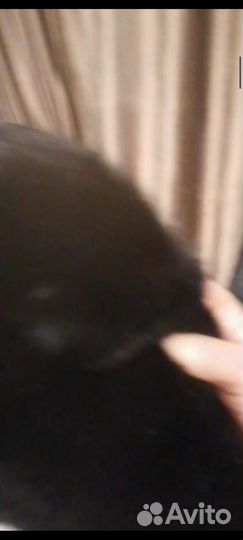 Шуба норковая