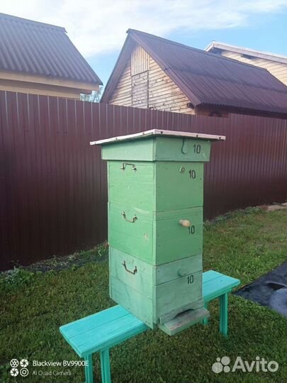 Улей и ловушка для пчел