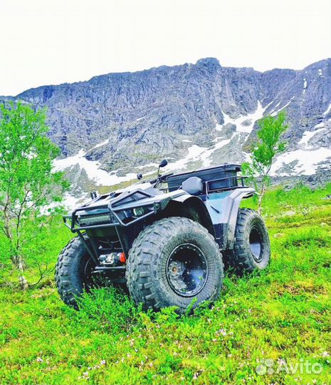 Снегоболотоход 