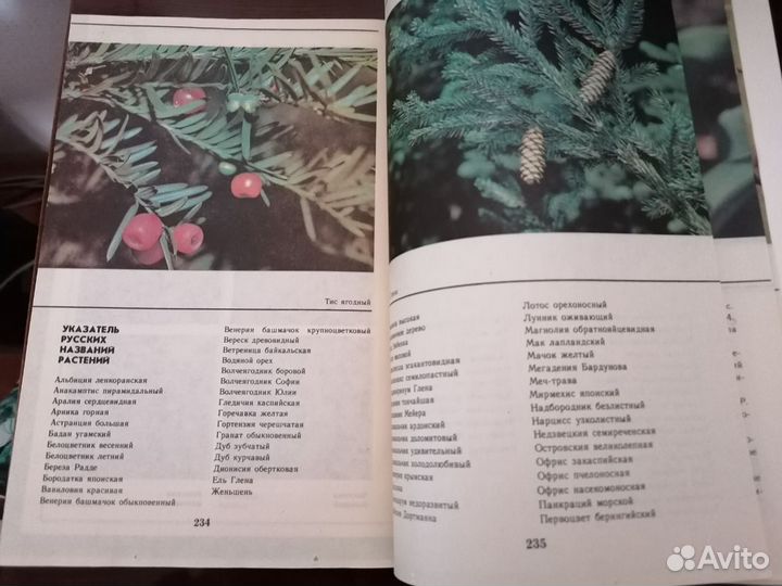 Растения Красной книги СССР. Вахромеева 1990 г