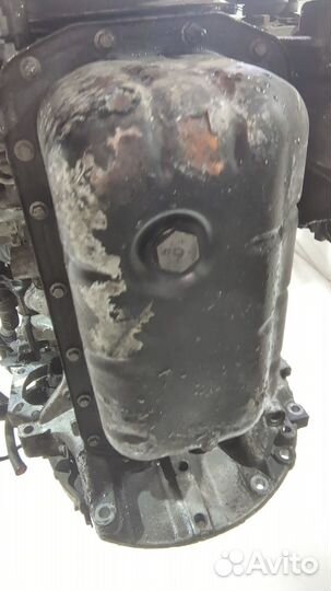 Двигатель Ford Focus 2 G8DA, G8DB, G8DC, G8DD, G8DE, G8DF